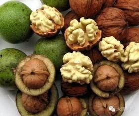 韩国核桃娱乐,引领潮流的娱乐巨头