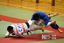 柔道搞笑节目,笑料横生的摔跤盛宴  第2张