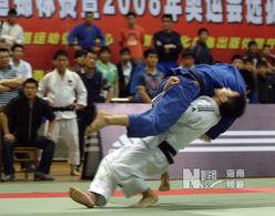 柔道搞笑节目,笑料横生的摔跤盛宴  第3张