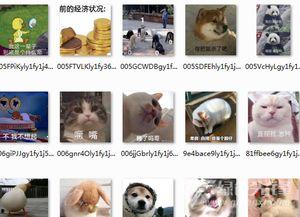 不认输的图片,坚韧意志的力量见证  第3张